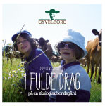 gyvelborg brochure